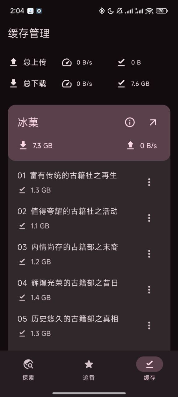 缓存详情